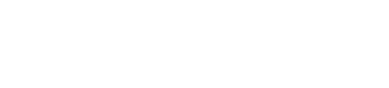 G2G Strategic